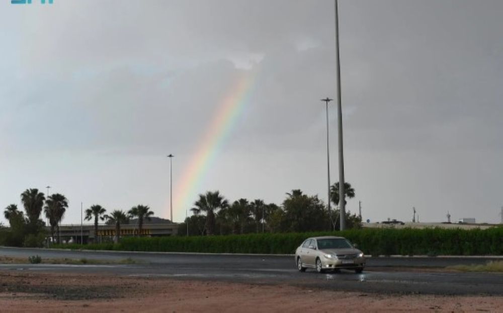 بناءً على تقارير "الأرصاد".. جامعة الطائف تعلق الدراسة الحضورية