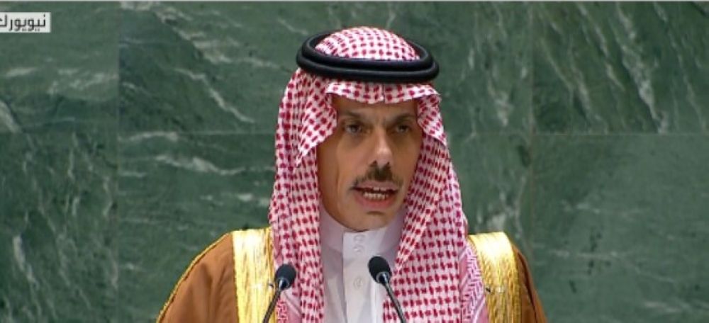 وزير الخارجية: نؤكد أهمية حل الصراعات الإقليمية بالطرق السلمية