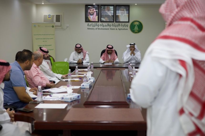 "بيئة مكة" تطلق حملة تشجير مكثفة لزيادة الغطاء النباتي