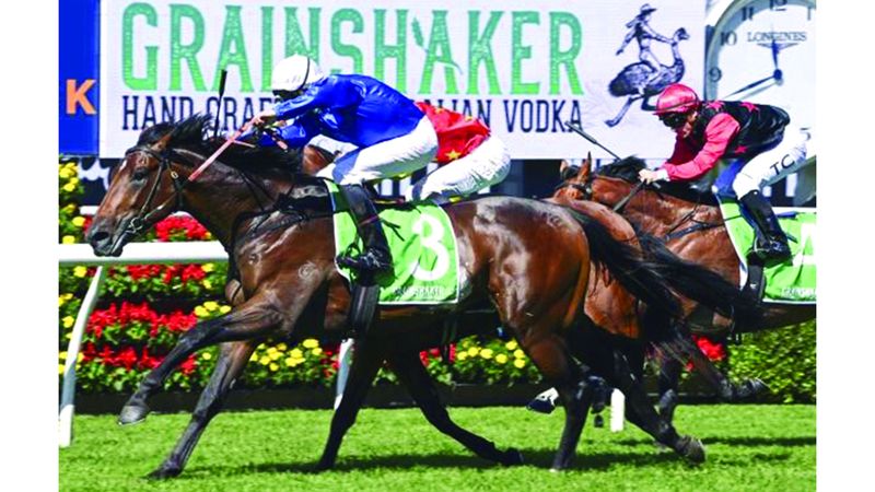 الامارات | 4 جياد من «غودولفين» تطارد الألقاب في أستراليا وأميركا