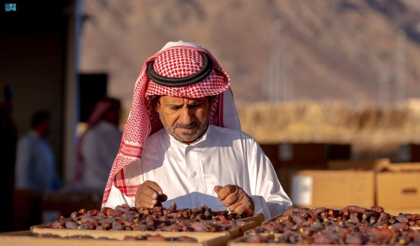 مزاد تمور العُلا.. تقنيات إلكترونية للارتقاء بمستويات الجودة والتسويق