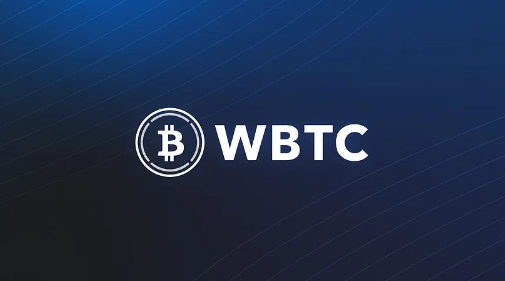 عملة WBTC تحتفظ بسيطرتها السوقية رغم الانتقادات الموجهة لنموذج التخزين والحراسة