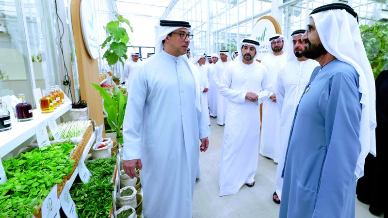 الامارات | محمد بن راشد يطلق البرنامج الوطني «ازرع الإمارات»