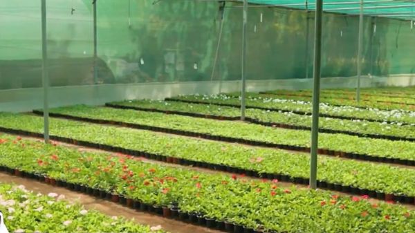 برنامج " ازرع الإمارات" يعزز نهج التنمية الزراعية المستدامة