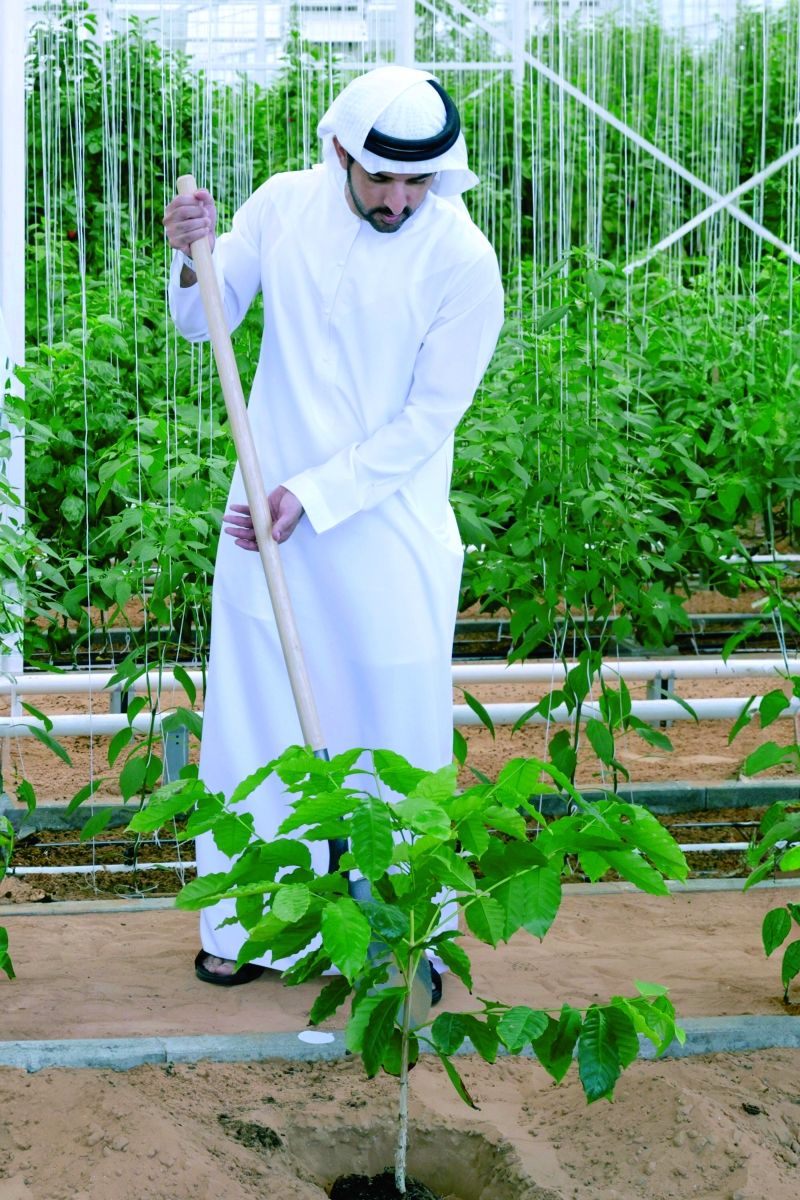 الامارات | محمد بن راشد يطلق البرنامج الوطني «ازرع الإمارات»