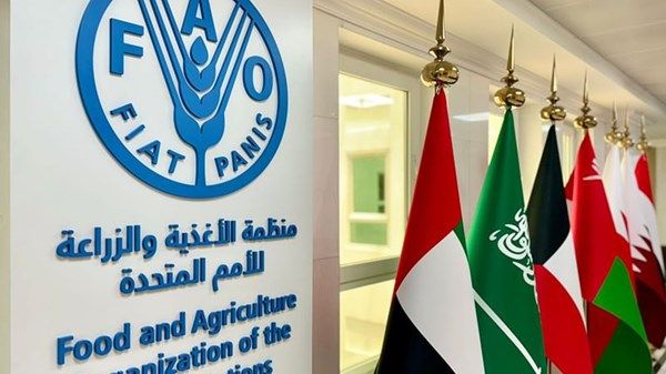 «الفاو»: «ازرع الإمارات» يعزز مكانة الدولة في الزراعة المستدامة