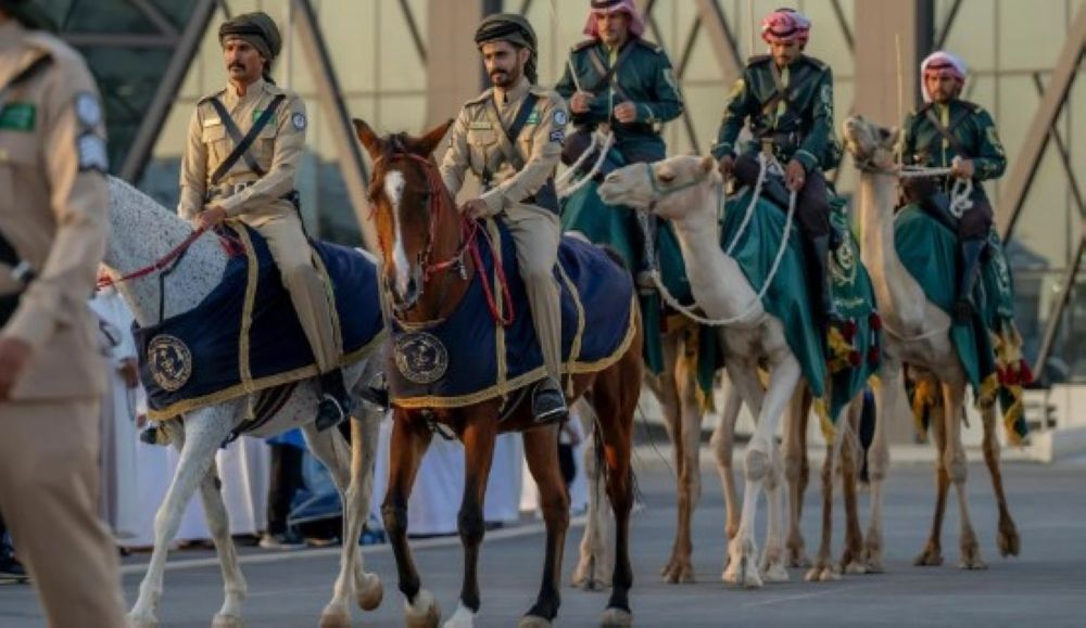 صور.. إتاحة مناطق جديدة لأول مرة بمعرض الصقور والصيد 2024