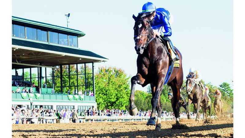 الامارات | «إيست أفينيو» يهدي غودولفين اللقب الثالث في سباق «بريدرز فيوتشرتي»
