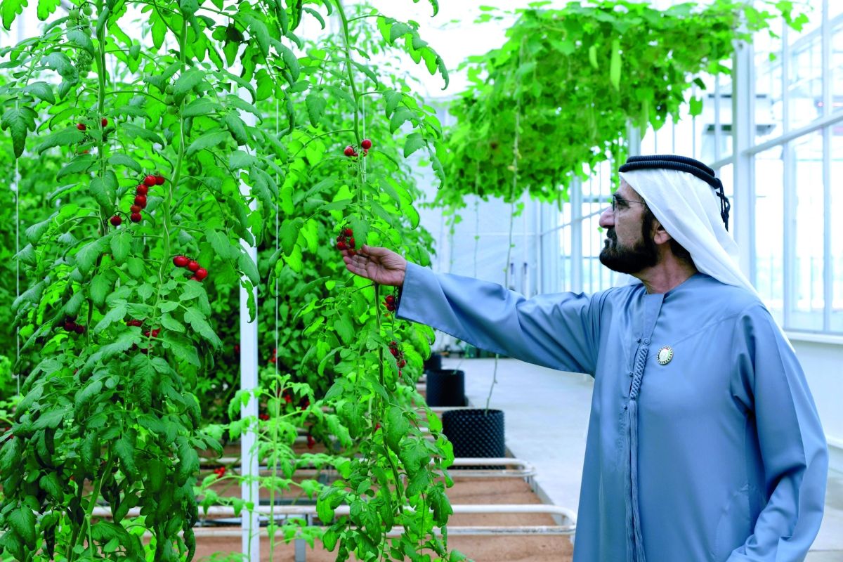 الامارات | محمد بن راشد يطلق البرنامج الوطني «ازرع الإمارات»