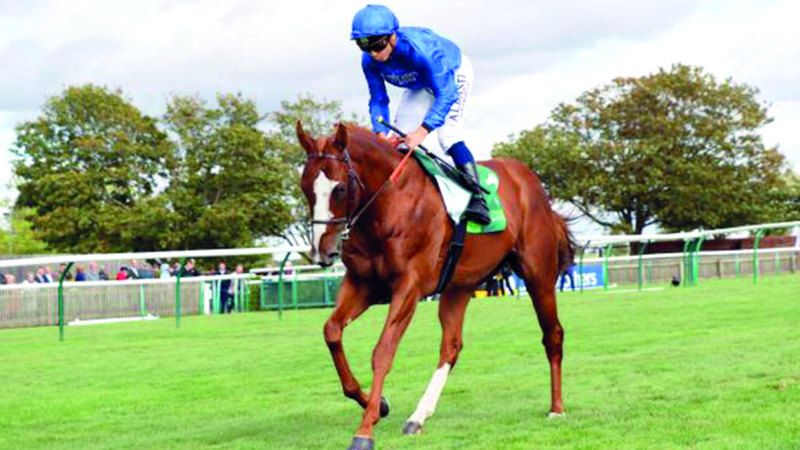 الامارات | الفارس برزلونا يغادر فريق غودولفين بعد مسيرة 12 عاماً