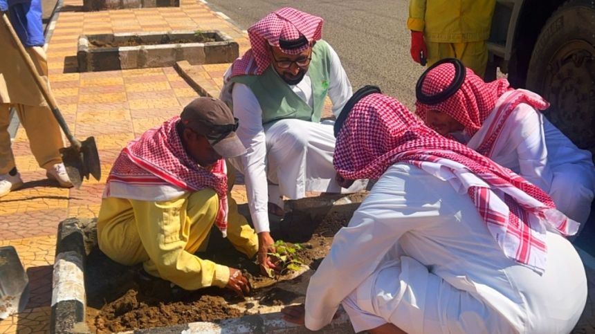 صور.. حملة بالطائف لتشجير مركز ظلم بــ 5000 شتلة لتعزيز الاستدامة