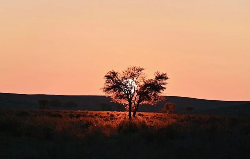 محمية الإمام تركي بن عبدالله الملكية تحظر أنشطة الصيد الجائر ضمن نطاقها