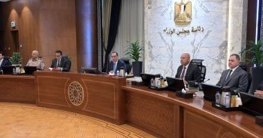 مجلس الوزراء يوافق على إزالة صفة النفع العام عن مساحة 612 فداناً بمحافظة بورسعيد