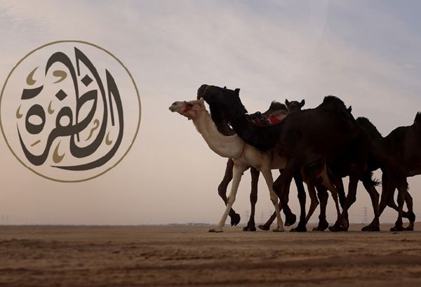 تحت رعاية رئيس الدولة.. الدورة الـ18 من مهرجان الظفرة تعقد فعالياتها في أبوظبي