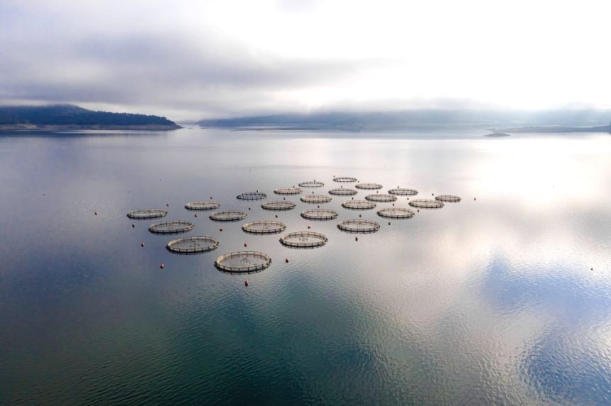 تطوير وتنمية شركات الاستزراع المائي عبر برنامج تدريبي