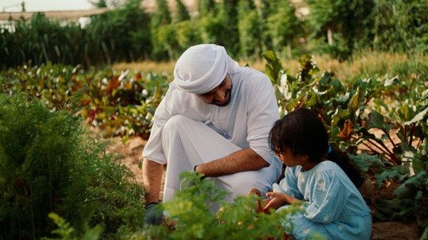 عام الاستدامة يطلق فعاليات وأنشطة تعزز العمل الجماعي