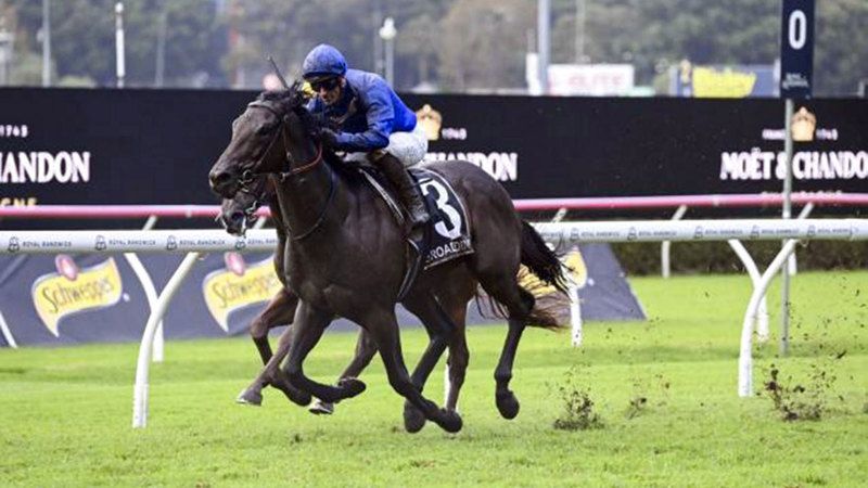 الامارات | مهر «غودولفين» بطلاً لخيول السنتين في أستراليا