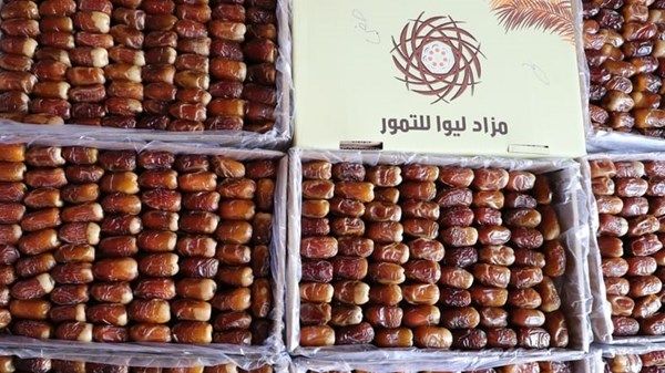 برعاية حمدان بن زايد.. انطلاق فعاليات «مهرجان ومزاد ليوا للتمور»