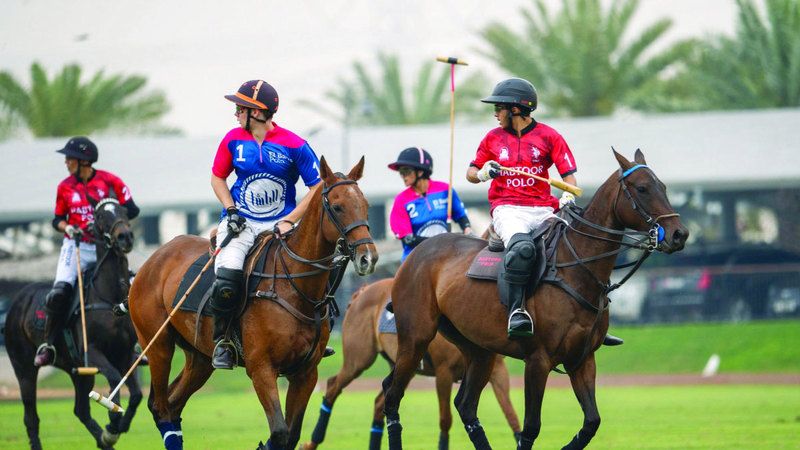 الامارات | 17 بطولة بولو في موسم 2024-2025