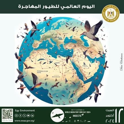 وزيرة البيئة: مصر قبلة الطيور المهاجرة ومحطة للتكاثر والغذاء