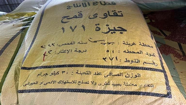 ضبط 14 طن قمح تقاوى منتهية الصلاحية داخل شونة بشبين الكوم -صور