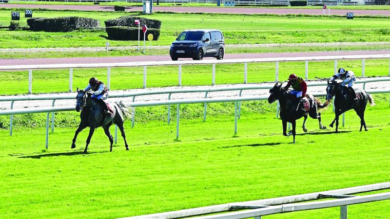 الامارات | المهرة «طلّة» تبهر فرنسا بكأس الوثبة