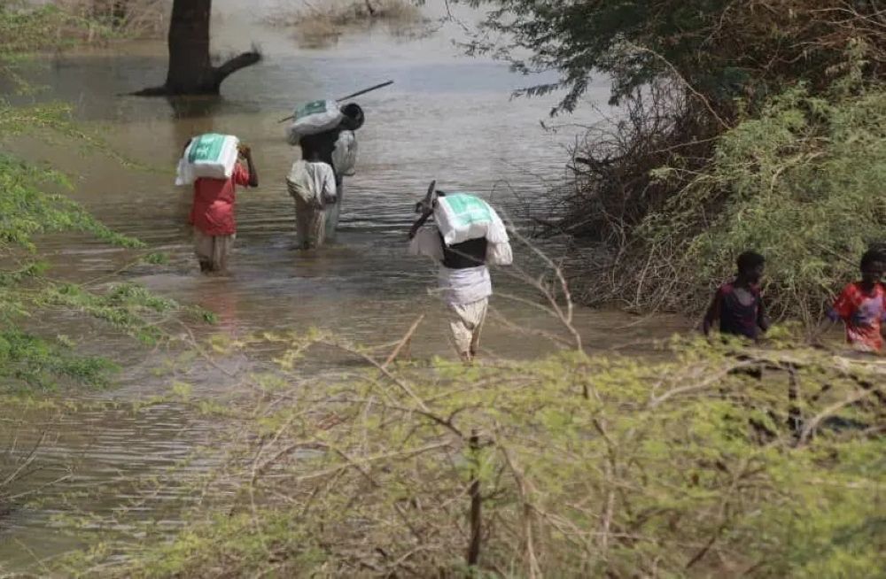 للحد من الكوارث.. جهود سعودية مكثفة لإغاثة المتضررين في أنحاء العالم