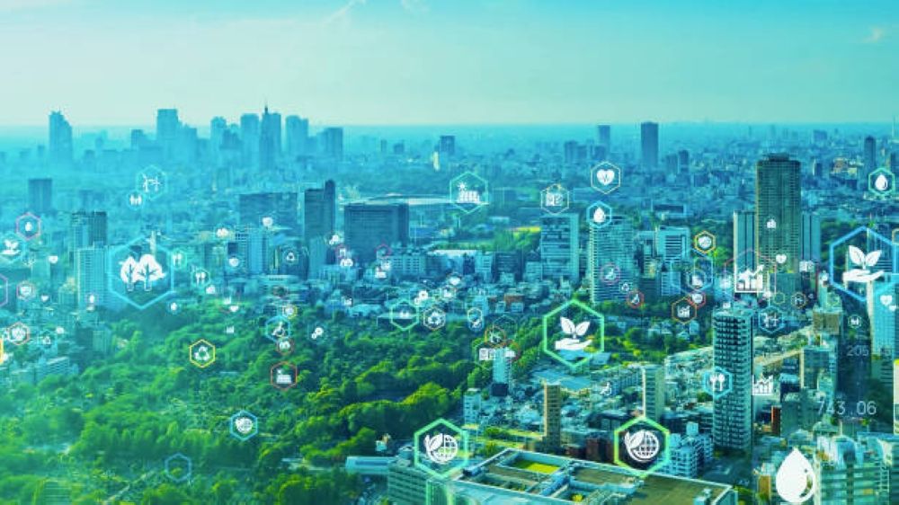 انطلاق المؤتمر الدولي "الاستدامة وجودة الحياة" بجامعة الملك عبد العزيز.. الثلاثاء