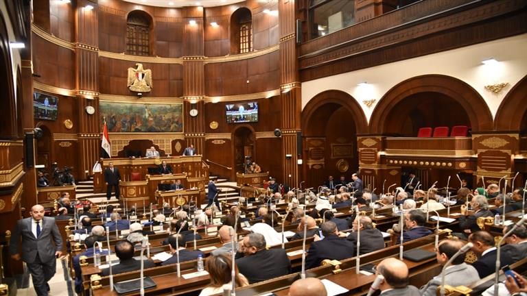 اللواء أيمن عبدالمحسن رئيسا لـ"برلمانية حماة الوطن" بالشيوخ