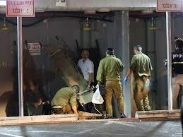 هجوم بنيامينا.. ما دلالات العملية وهل تُعيد التوازن لجبهة الشمال؟