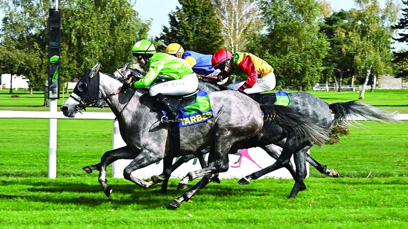 الامارات | «أندلس» بطلة سباق كأس فاطمة بنت مبارك للخيول العربية