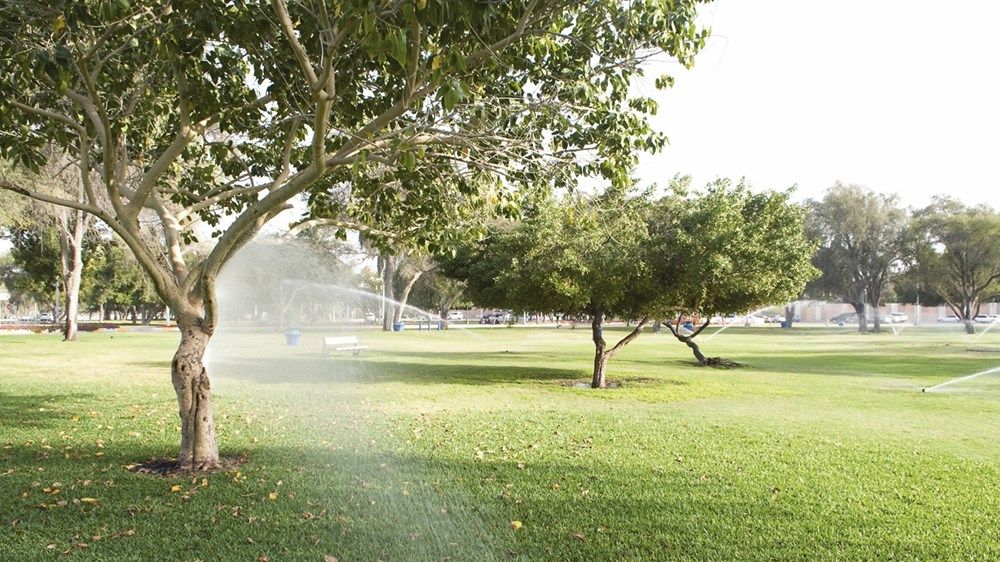 الإمارات.. ريادة عالمية في توظيف الذكاء الاصطناعي لمواجهة التغير المناخي