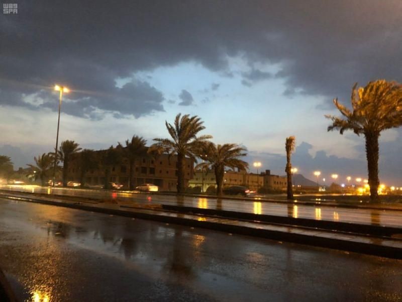 4 نجوم للوسم فما سبب تسميته وخصائصه؟