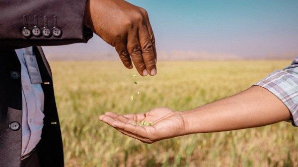 وسط مبادرات نوعية محلية ودولية.. الإمارات تحتفي بـ «يوم الأغذية العالمي»