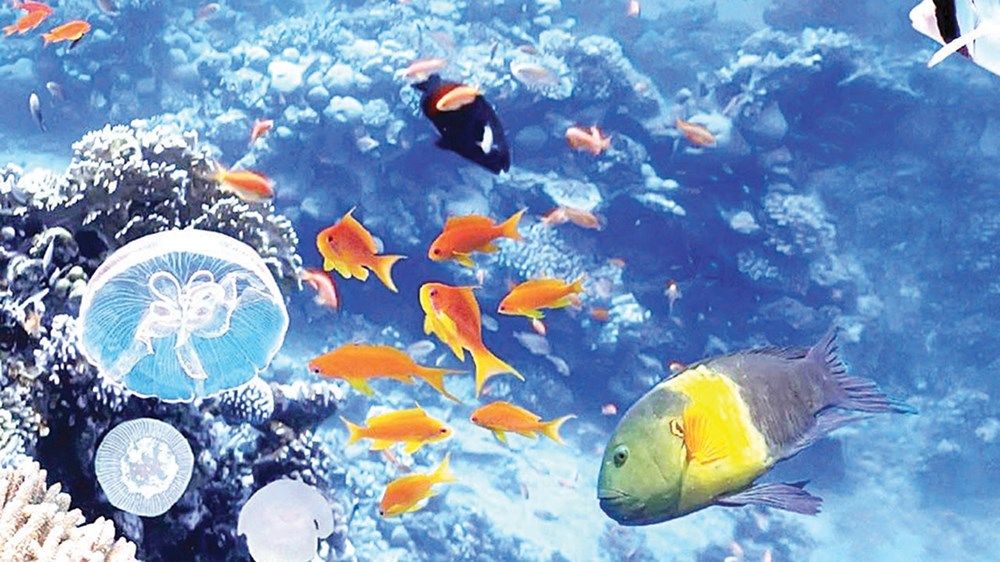 الإمارات.. ريادة عالمية في توظيف الذكاء الاصطناعي لمواجهة التغير المناخي