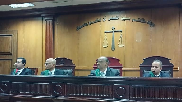 واقعة "دهس البراجيل".. المشدد 5 سنوات لعامل أوسيم