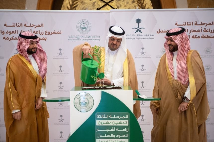 نائب أمير مكة يدشّن المرحلة الثالثة لمشروع زراعة العود والصندل بالمنطقة