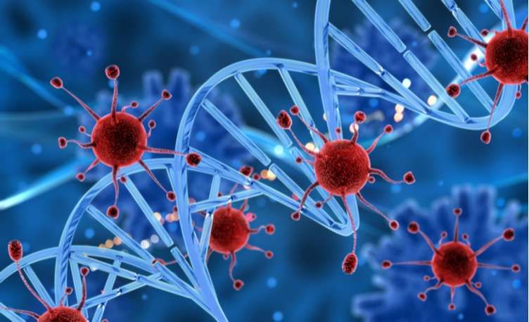 الامارات | مادة في الأطعمة قد تؤخر نمو الأورام.. تعرَف إليها