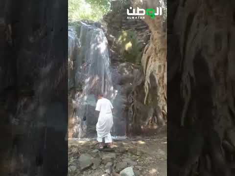 أشجار معمرة وحصون أثرية وشلالات وادي رحب تجذب الزوار والمتنزهين