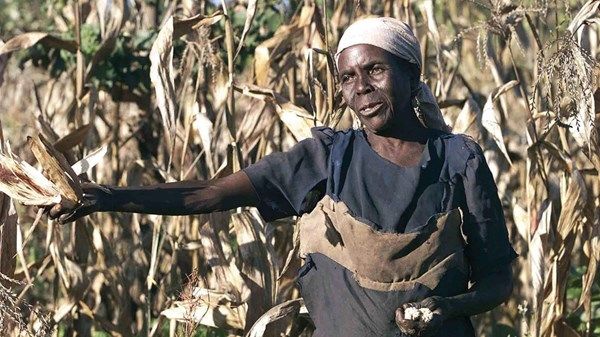 «الأغذية العالمي»: أسوأ أزمة غذائية تواجه جنوب القارة الأفريقية منذ عقود