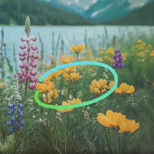 تكنولوجيا: Oppo تعلن عن ColorOS 15 بلغة تصميم جديدة وتركيز خاص على تقنية الذكاء الإصطناعي