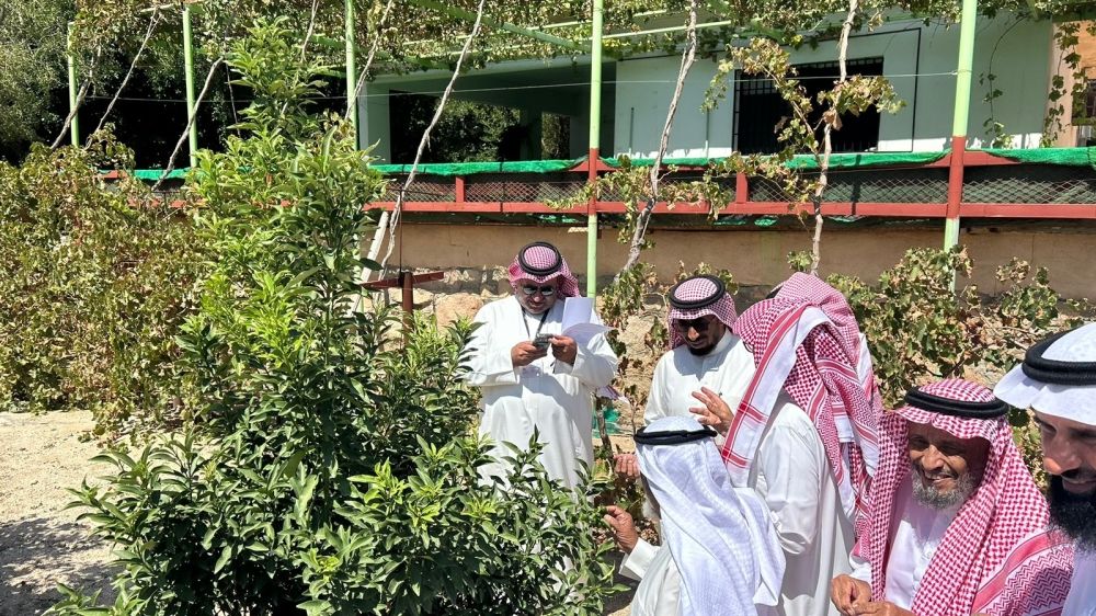"بيئة مكة".. ورش ودورات تدريبية لتنمية مهارات المزارعين