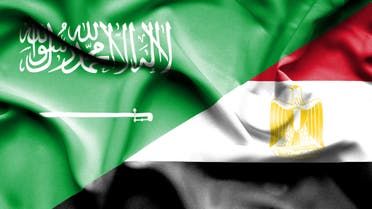 الخليج اليوم .. السعودية ومصر تؤكدان على ضرورة وقف النار في لبنان وغزة