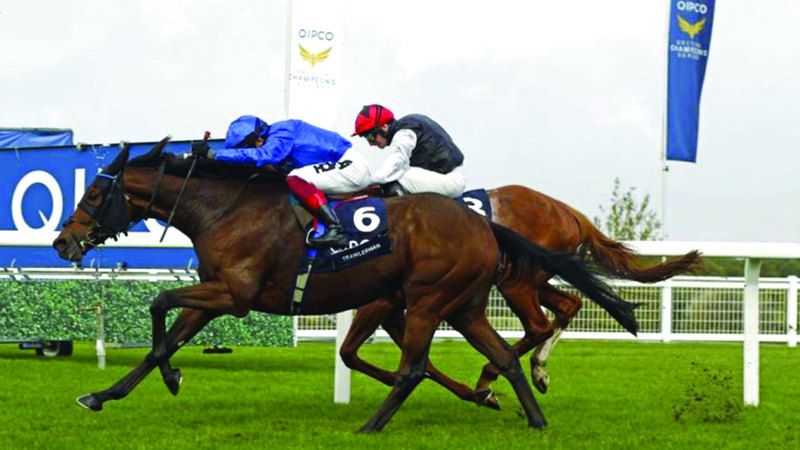 الامارات | خيول الإمارات تواجه تحدي «يوم الأبطال» البريطاني