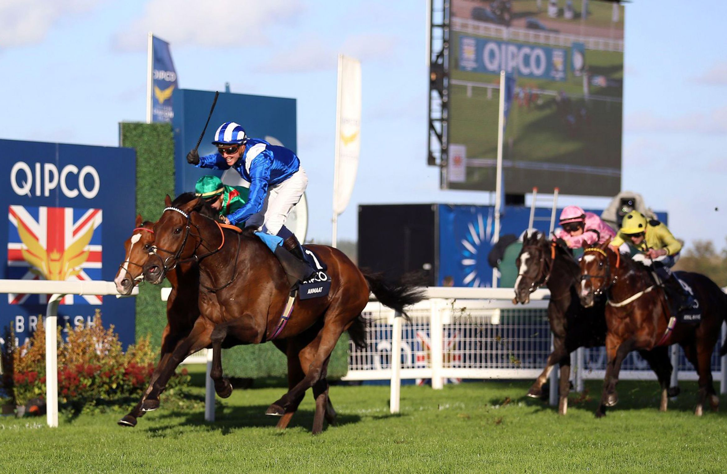 الامارات | «أنماط» بطلاً لسباق «شامبيون ستيكس» في بريطانيا