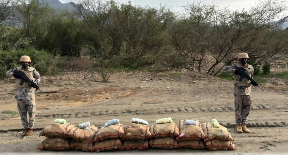 الحرب على المخدرات.. إحباط تهريب 692 كيلوجرامًا من القات بمنطقتين