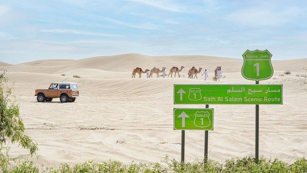 تنفيذاً لتوجيهات محمد بن راشد.. حمدان بن محمد يعتمد مخطط مسار سيح السلم ومشاريع لتطوير أرياف وبراري دبي