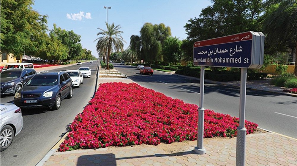 العين تتجمل بـ 6 ملايين زهرة