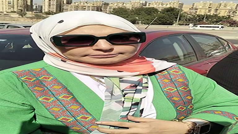 تغيب الشيخ.. تفاصيل أولى جلسات محاكمة ميار الببلاوي ومحمد أبوبكر في واقعة السب