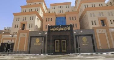 حصول 105 أشخاص على جنسيات أجنبية.. بالأسماء